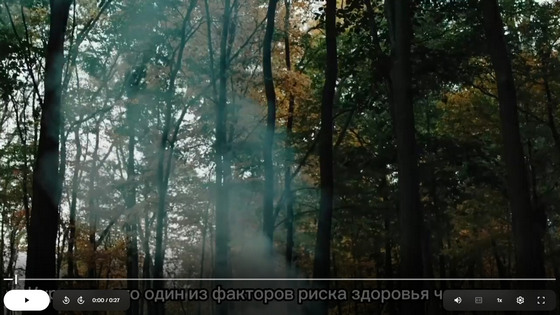 Смотреть